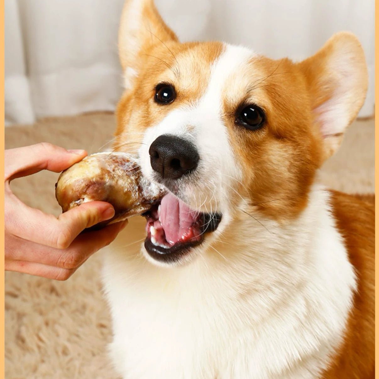 PeaChew Air-Dried Beef Knee Bone Chew