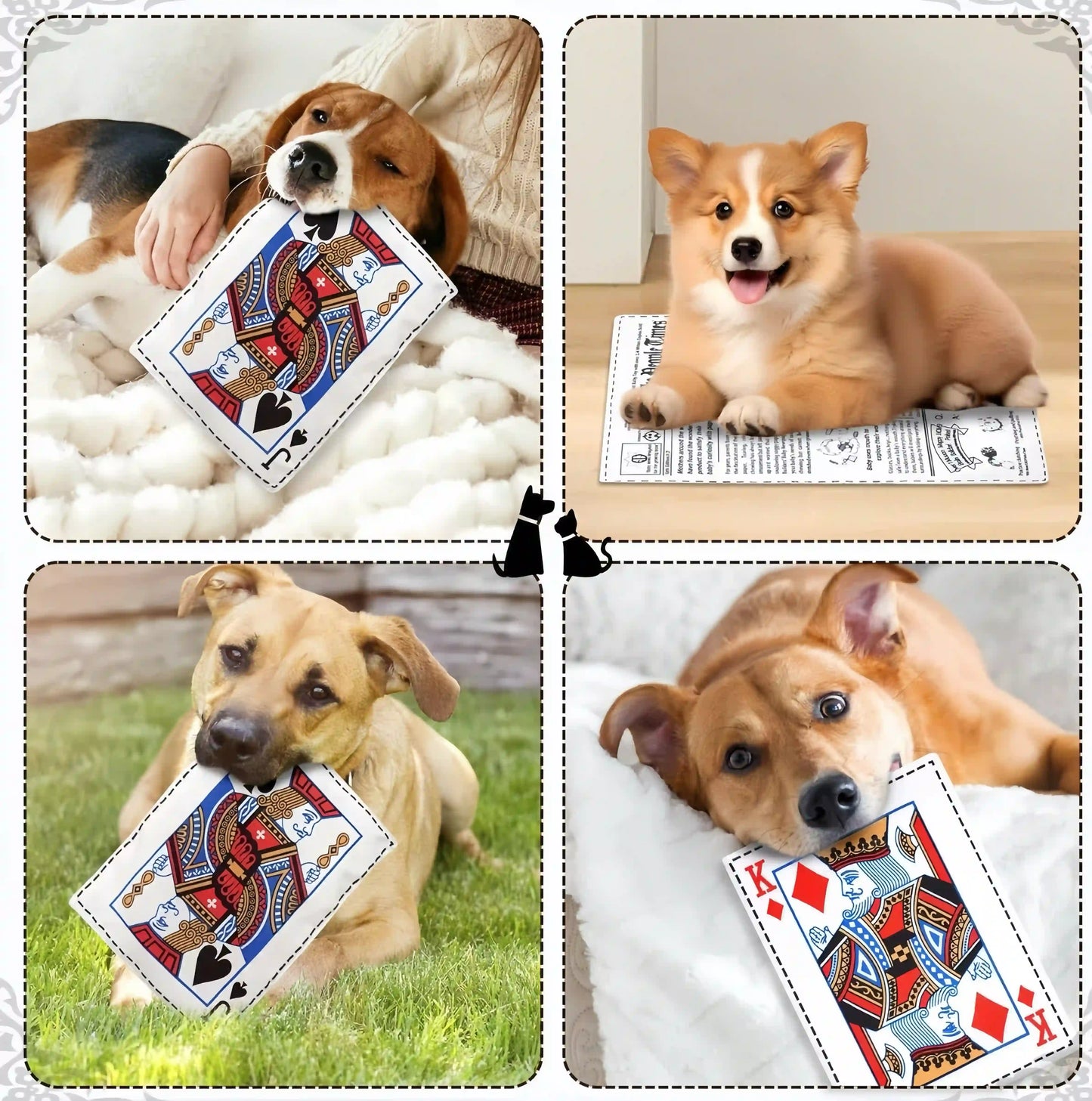 Tough Crinkle Card Toy: Chew-Proof, Washable Fun