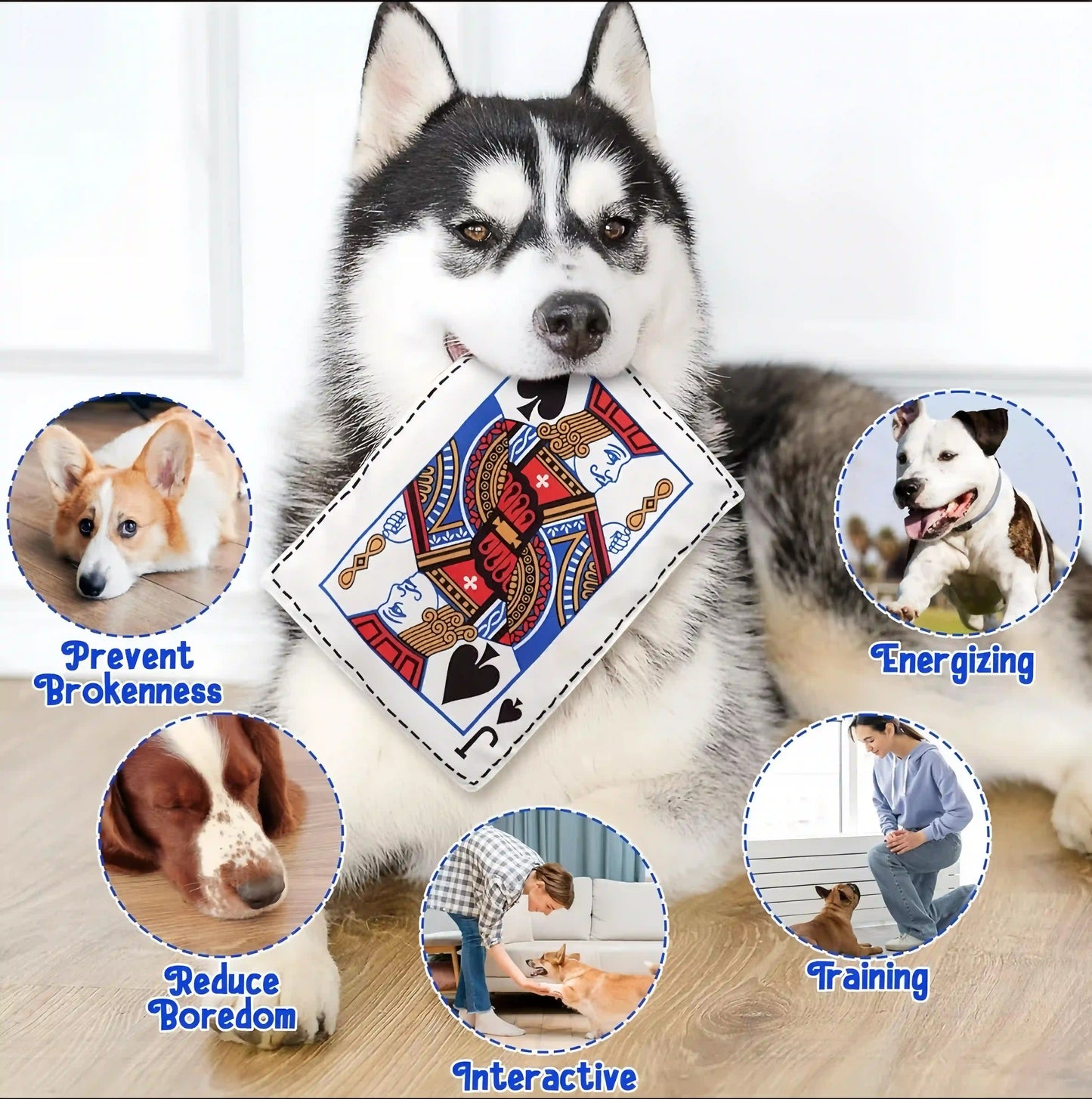 Tough Crinkle Card Toy: Chew-Proof, Washable Fun