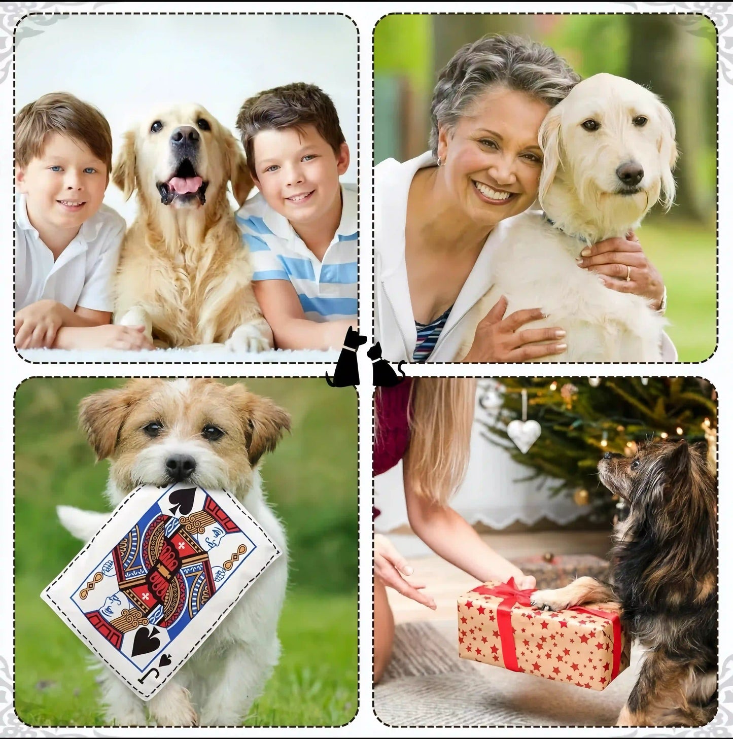 Tough Crinkle Card Toy: Chew-Proof, Washable Fun