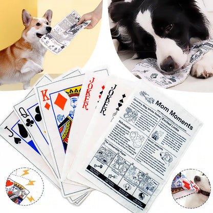 Tough Crinkle Card Toy: Chew-Proof, Washable Fun