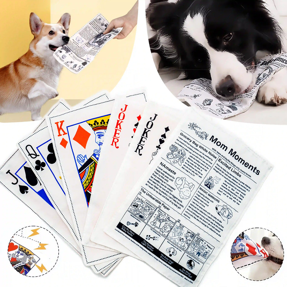 Tough Crinkle Card Toy: Chew-Proof, Washable Fun